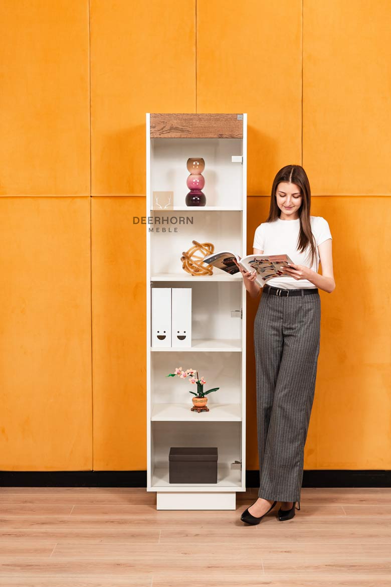 Eintürige Glasvitrine für Büro und Wartezimmer