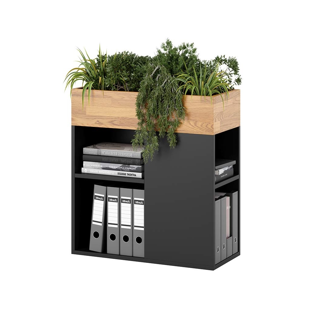 Schwarz stehender Büroflorist