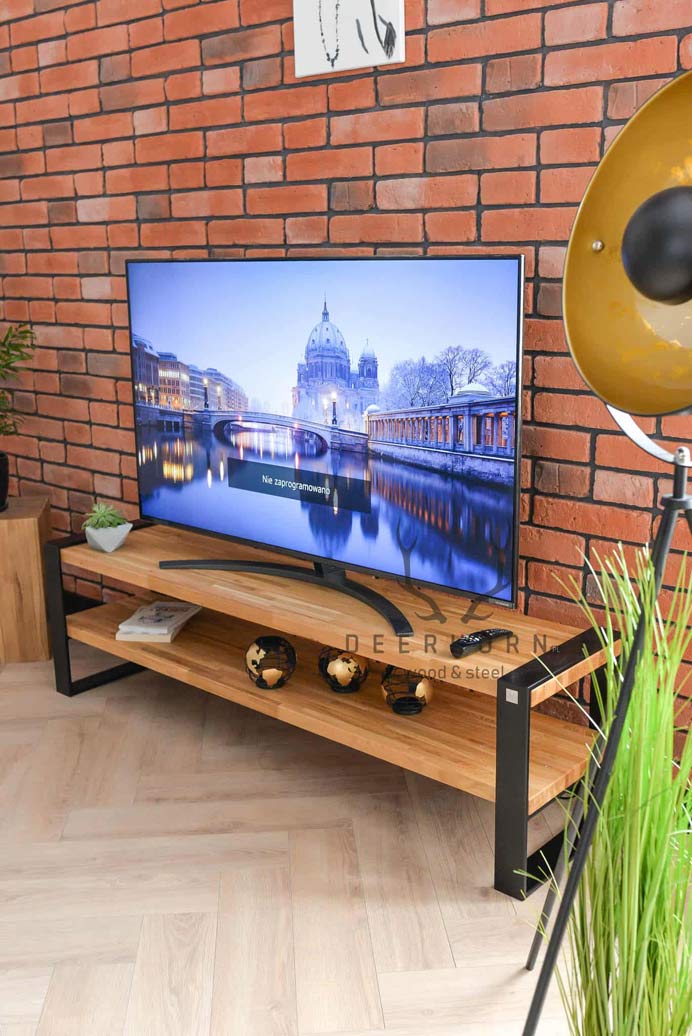 RTV-Schrank im Loft, moderner, industrieller Stil