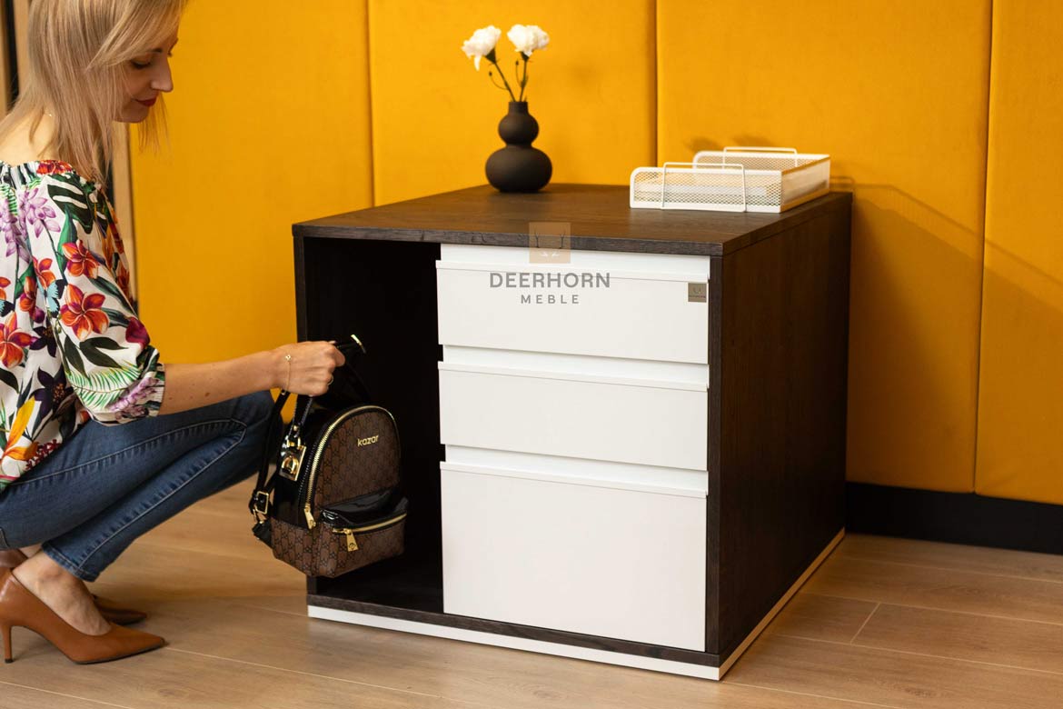 Schreibtischschrank mit Schubladen Ebenholz