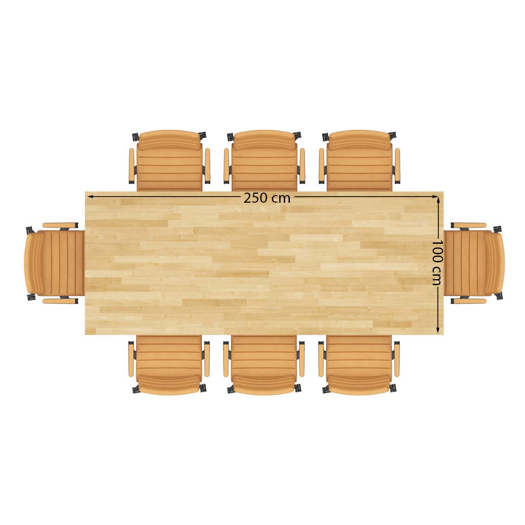 Tisch mit Holzplatte 250x100cm für acht Personen