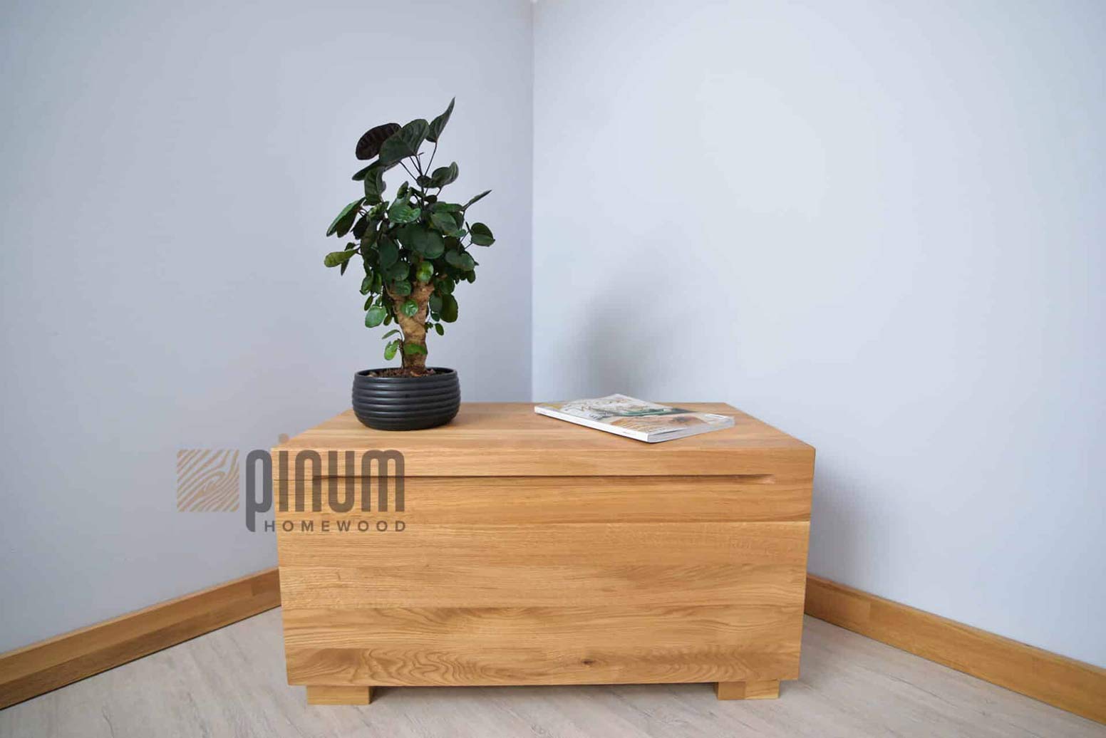 Holztruhe für Wohn- und Schlafzimmer für Spielzeug und andere Gegenstände