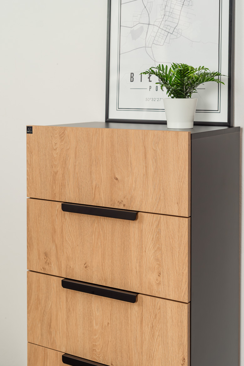 Großer Büro-Aktenschrank 5 Schubladen