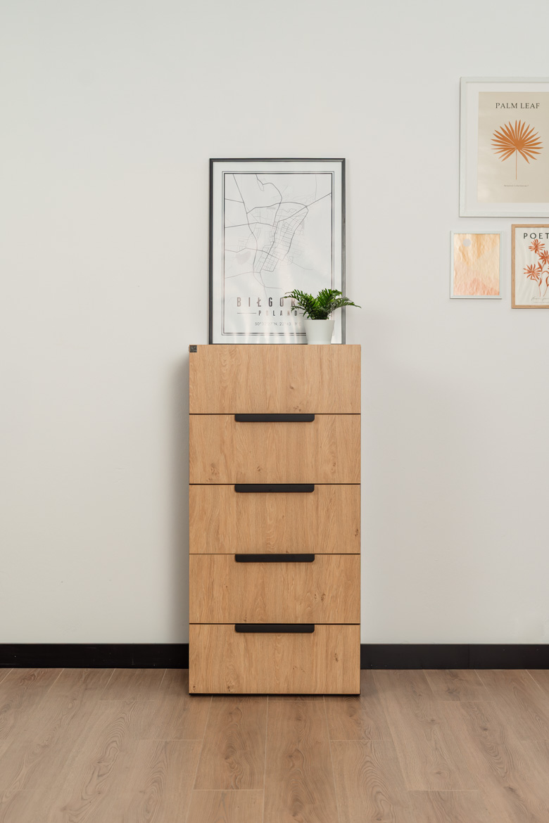 Großer Büro-Aktenschrank 5 Schubladen