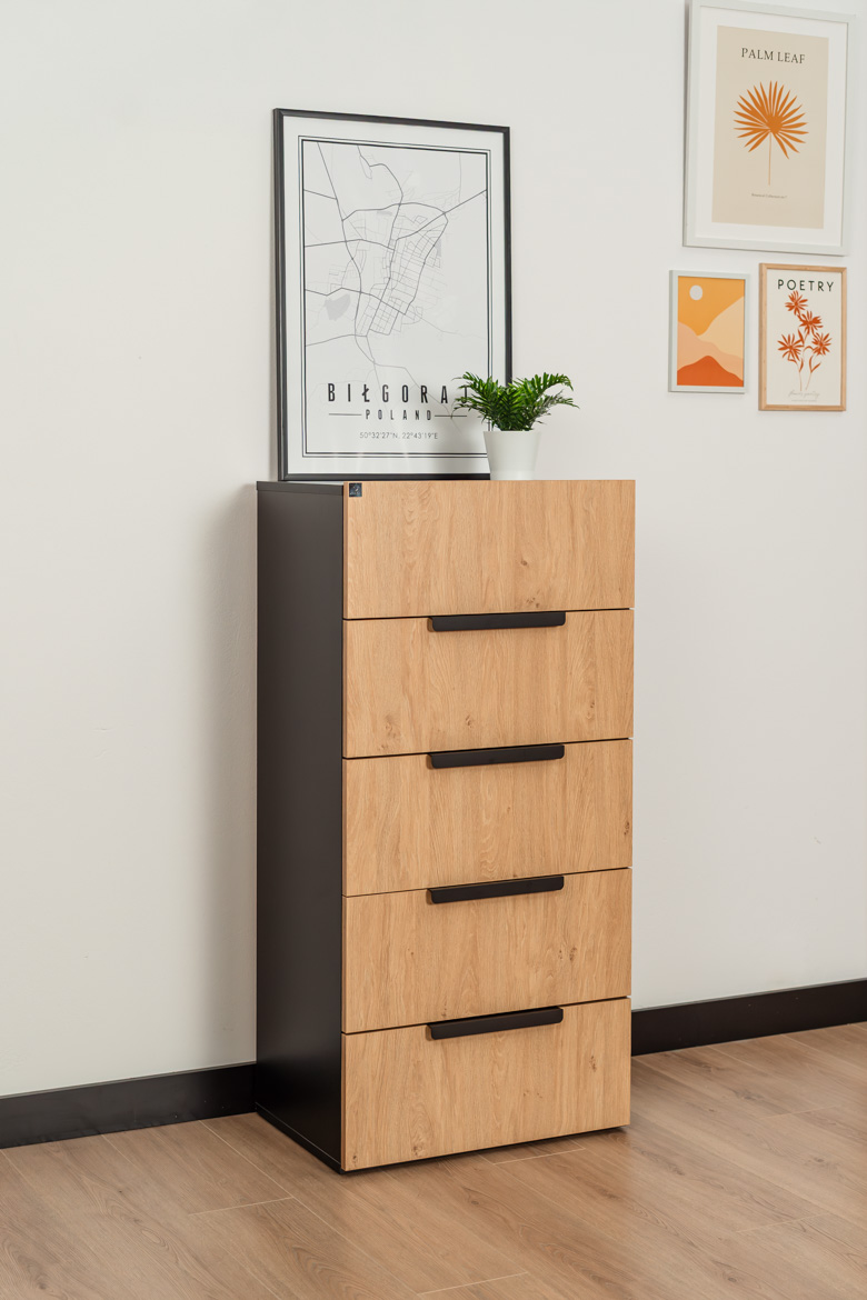 Großer Büro-Aktenschrank 5 Schubladen