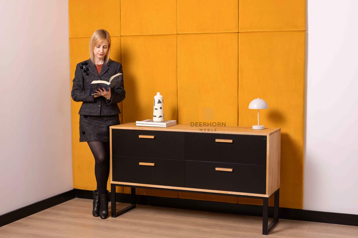 Une commode pour le bureau ou l'étude. Style moderne, loft. Noir. 140 cm de large.